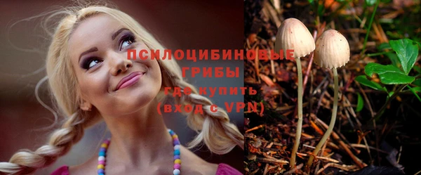 а пвп мука Алзамай