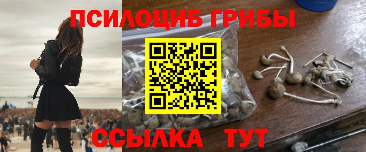 Галлюциногенные грибы Magic Shrooms Курчалой
