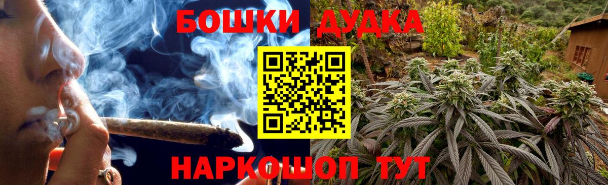 Бошки Шишки планчик Курчалой